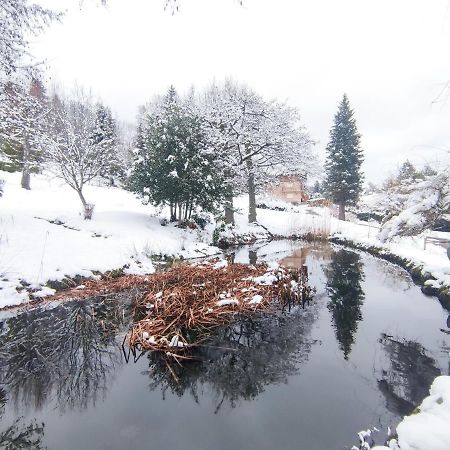 Le Manoir Au Lac Gérardmer Eksteriør bilde