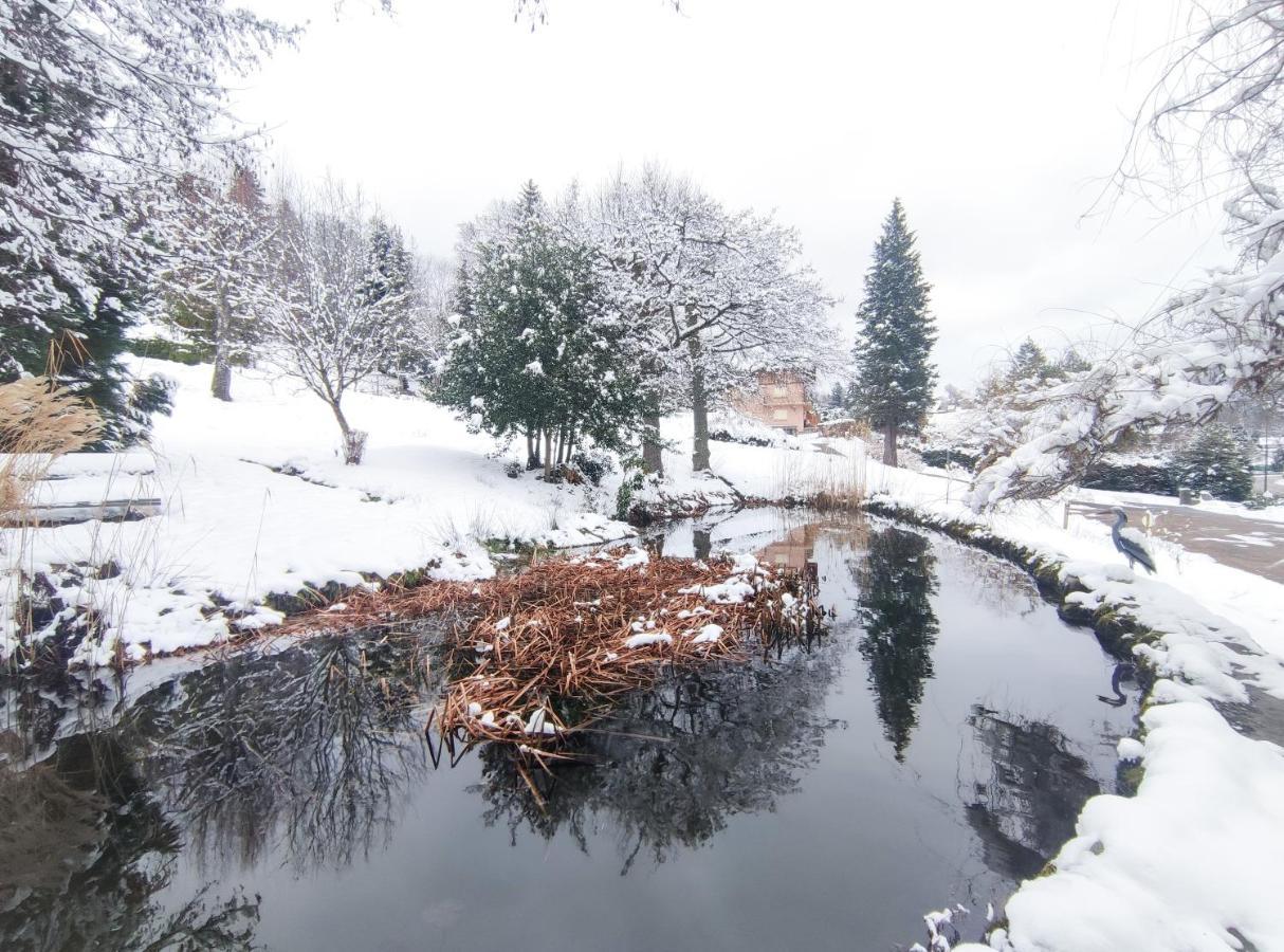 Le Manoir Au Lac Gérardmer Eksteriør bilde